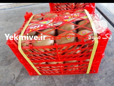 کیوی هایوارد در گروه خرید فروش عمده کیوی - صادراتی مازندران تنکابن تالش در یکمیوه -عکس2