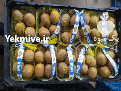 کیوی هایوارد در گروه خرید فروش عمده کیوی - صادراتی مازندران تنکابن تالش در یکمیوه -عکس4