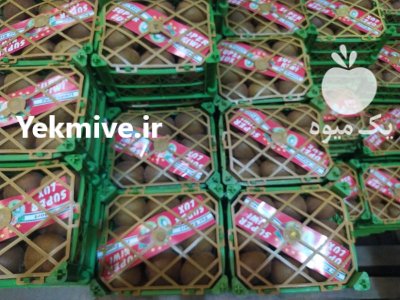 فروش کیوی هایوارد در گروه خرید فروش عمده کیوی - صادراتی مازندران تنکابن تالش در یکمیوه -عکس2