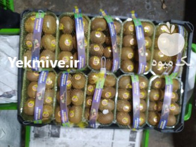 فروش کیوی هایوارد در گروه خرید فروش عمده کیوی - صادراتی مازندران تنکابن تالش در یکمیوه -عکس4