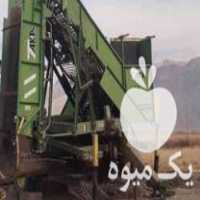 فروش بارکن چغندر در کرمانشاه در گروه خرید فروش عمده چغندر - قند لبویی قرمز سفید در یکمیوه