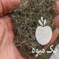 قیمت خرید خشکبار نشا قلمه گیاهان دارویی و بذر در بهشهر در گروه خرید فروش عمده گیاهان دارویی - معطر خشک خواص دار در یکمیوه