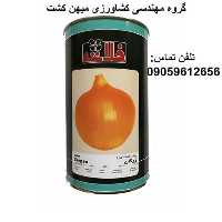 فروش بذر پیاز فلات زرگان در کرمان  در گروه خرید فروش بذر - انواع محصول کشاورزی گوجه کتان میوه درخت در یکمیوه