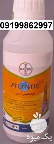فروش علف کش آتلانتیس اصل دارای فرمولاسیون گرانول در ایلام در گروه خرید فروش کود و مواد شیمیایی - اوره پتاس مرغی کمپوست آهن در یکمیوه -عکس1