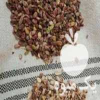 قیمت خرید ماشین سورتینگ پسته رنگی در گروه خرید فروش تجهیزات بسته بندی - انواع دستگاه ها و لوازم در یکمیوه