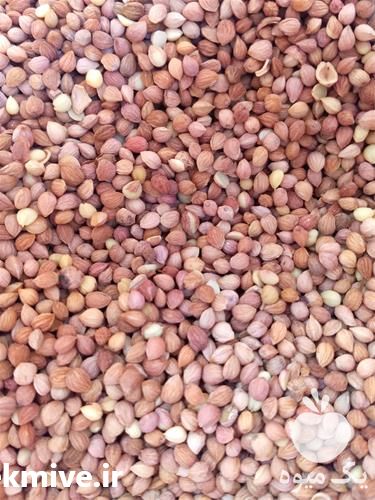 قیمت خرید مغز هسته آلبالو در گروه خرید فروش عمده آلبالو - رسمی خارجی سرخ قرمز مربایی شربتی در یکمیوه -عکس1