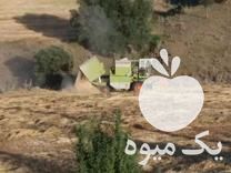 قیمت خرید کمباین کلاس 76 در بوکان در گروه خرید فروش ماشین آلات کشاورزی - تراکتور تیلر کمباین مدرن در یکمیوه -عکس1