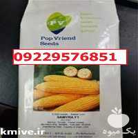 بذر ذرت سمیرا پرفروش اصل در اصفهان در گروه خرید فروش بذر - انواع محصول کشاورزی گوجه کتان میوه درخت در یکمیوه