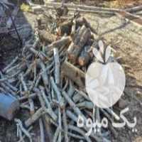 فروش چوب هیزمی در اصفهان در گروه خرید فروش عمده چوب و زغال- زغال چوب گردو تبریزی خام در یکمیوه