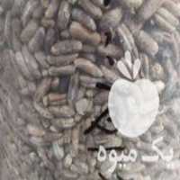 فروش پودر هسته خالص خرما در تهران در گروه خرید فروش عمده خرما - کبکاب تازه زاهدی خشک خارک در یکمیوه