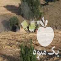 قیمت خرید کمباین کلاس 76 در بوکان در گروه خرید فروش ماشین آلات کشاورزی - تراکتور تیلر کمباین مدرن در یکمیوه