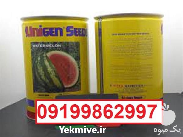 قیمت خرید بذر هندوانه یونی ژن سیاه پربار در فارس در گروه خرید فروش بذر - انواع محصول کشاورزی گوجه کتان میوه درخت در یکمیوه -عکس1