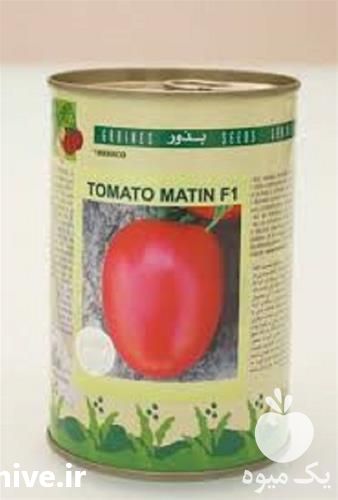 قیمت فروش بذر گوجه فرنگی متین در گروه خرید فروش بذر - انواع محصول کشاورزی گوجه کتان میوه درخت در یکمیوه -عکس1
