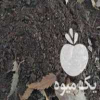 فروش گیاهخاک برای گلدان و خاک مناسب جهت پرورش حلزون در اصفهان در گروه خرید فروش کود و مواد شیمیایی - اوره پتاس مرغی کمپوست آهن در یکمیوه