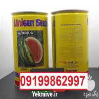 قیمت خرید بذر هندوانه یونی ژن سیاه پربار در فارس در گروه خرید فروش بذر - انواع محصول کشاورزی گوجه کتان میوه درخت در یکمیوه