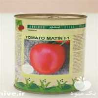 قیمت فروش بذر گوجه فرنگی متین در گروه خرید فروش بذر - انواع محصول کشاورزی گوجه کتان میوه درخت در یکمیوه