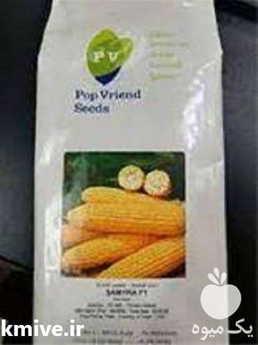 قیمت خرید توزیع بذر ذرت سنتیل در تهران در گروه خرید فروش بذر - انواع محصول کشاورزی گوجه کتان میوه درخت در یکمیوه -عکس1