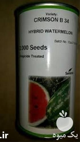 قیمت خرید بذر هندوانه بی 32 در گروه خرید فروش بذر - انواع محصول کشاورزی گوجه کتان میوه درخت در یکمیوه -عکس1
