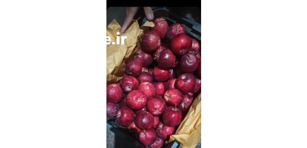 قیمت خرید سردخانه کامل هزارتنی در تهران در گروه واحد تولیدی - کشاورزی فرآوری بسته بندی کارتن تعاونی در یکمیوه -عکس1