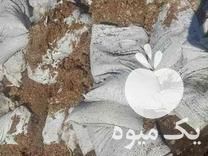 قیمت خرید تفاله سیب زمینی در نظرآباد در گروه خرید فروش عمده سیب زمینی - زودرس دیررس آگریا اسپریت اردبیل همدان در یکمیوه -عکس1