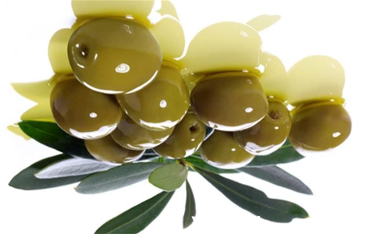 قیمت خرید زیتون درجه یک به قیمت مناسب در اصفهان در گروه خرید فروش عمده زیتون - سبز سیاه بندری پاکستانی طارم در یکمیوه -عکس1