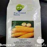 قیمت خرید توزیع بذر ذرت سنتیل در تهران در گروه خرید فروش بذر - انواع محصول کشاورزی گوجه کتان میوه درخت در یکمیوه