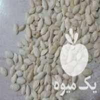 خرید تخم کدو گوشتی در سراب در گروه انواع خشکبار - فروش مغز دانه فروش عمده در یکمیوه