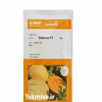 قیمت خرید عرضه خربزه اوریانا در تهران در گروه خرید فروش بذر - انواع محصول کشاورزی گوجه کتان میوه درخت در یکمیوه