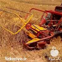 تولید و فروش دروگر بافبند جلو تراکتوری گندم و جو در تهران در گروه خرید فروش ابزار ها و تجهیزات کشاورزی - دستی برقی ماشینی بیل کلنگ در یکمیوه