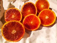 آگهی مشابه پرتقال توسرخ تاراکو درجه یک در بابلسر در گروه خرید فروش عمده پرتقال - پرتقال رسمی تامسون خونی جنوب در یکمیوه