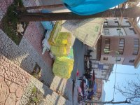 آگهی مشابه زنبیل چای سبز در لنگرود در گروه خرید فروش لوازم باغبانی - خرید فروش نو دست دوم در یکمیوه