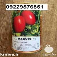 بذر گوجه فرنگی مارول پرفروش ترین بذر در بوشهر در گروه خرید فروش بذر - انواع محصول کشاورزی گوجه کتان میوه درخت در یکمیوه