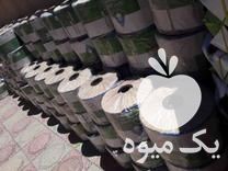 فروش نوار ابیاری قطره ای آبدهی بالا نوار تیپ مخصوص کشت گندم در زنجان در گروه خرید فروش اتصالات و تجهیزات آبیاری - شیر لوله نوار در یکمیوه -عکس1