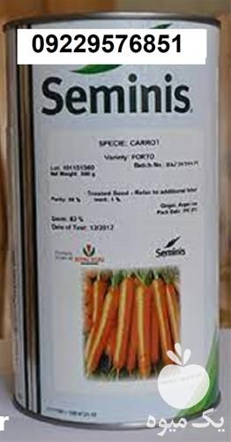 قیمت فروش بذر هویج سمینیس اصل در تهران در گروه خرید فروش بذر - انواع محصول کشاورزی گوجه کتان میوه درخت در یکمیوه -عکس1