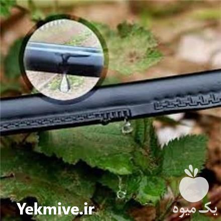 فروش نوار آبیاری قطره ای تیپ tape drip irrigation در شهریار در گروه خرید فروش اتصالات و تجهیزات آبیاری - شیر لوله نوار در یکمیوه -عکس1