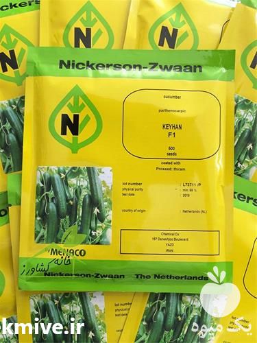 فروش بذر خیار درختی کیهان در قم در گروه خرید فروش بذر - انواع محصول کشاورزی گوجه کتان میوه درخت در یکمیوه -عکس1