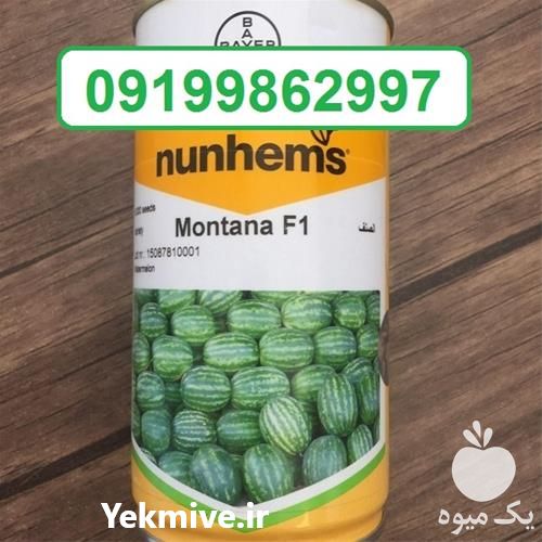 قیمت خرید قیمت بذر هندوانه مونتانا بافت ترد در گروه خرید فروش بذر - انواع محصول کشاورزی گوجه کتان میوه درخت در یکمیوه -عکس1