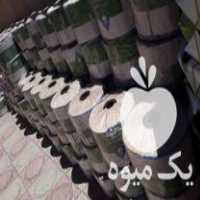 فروش نوار ابیاری قطره ای آبدهی بالا نوار تیپ مخصوص کشت گندم در زنجان در گروه خرید فروش اتصالات و تجهیزات آبیاری - شیر لوله نوار در یکمیوه