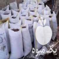 قیمت خرید کود حیوانی گوسفندی در گروه خرید فروش کود و مواد شیمیایی - اوره پتاس مرغی کمپوست آهن در یکمیوه