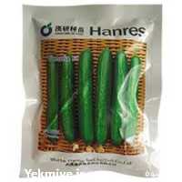 قیمت خرید بذر خیار ویکتوریا در گروه خرید فروش بذر - انواع محصول کشاورزی گوجه کتان میوه درخت در یکمیوه