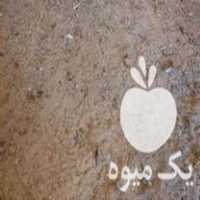 فروش کود مرغی در گروه خرید فروش کود و مواد شیمیایی - اوره پتاس مرغی کمپوست آهن در یکمیوه