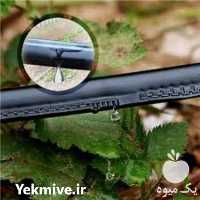 فروش نوار آبیاری قطره ای تیپ tape drip irrigation در شهریار در گروه خرید فروش اتصالات و تجهیزات آبیاری - شیر لوله نوار در یکمیوه