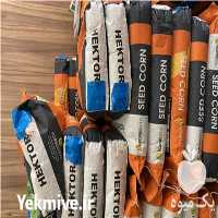 قیمت خرید انواع بذر ذرت در شیراز در گروه خرید فروش بذر - انواع محصول کشاورزی گوجه کتان میوه درخت در یکمیوه