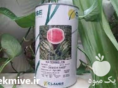 قیمت خرید بذر هندوانه در اصفهان در گروه خرید فروش بذر - انواع محصول کشاورزی گوجه کتان میوه درخت در یکمیوه -عکس1