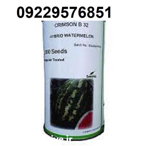 بذر هندوانه بی 32 پرفروش اصل سازگار در گروه خرید فروش عمده هندوانه - صادراتی گرد بیضی زرد قرمز در یکمیوه -عکس1