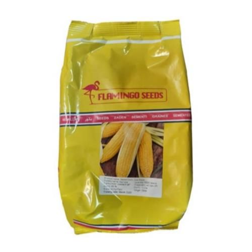 قیمت خرید بذر ذرت سمیرا اف 1 در گروه خرید فروش بذر - انواع محصول کشاورزی گوجه کتان میوه درخت در یکمیوه -عکس1