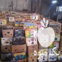 فروش ذغال لیمو کبابی در لنگرود در گروه خرید فروش عمده چوب و زغال- زغال چوب گردو تبریزی خام در یکمیوه