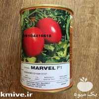 خرید بذر گوجه فرنگی هیبرید در تهران در گروه خرید فروش بذر - انواع محصول کشاورزی گوجه کتان میوه درخت در یکمیوه