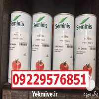 بذر گوجه فرنگی 8320 پرفروش در گروه خرید فروش بذر - انواع محصول کشاورزی گوجه کتان میوه درخت در یکمیوه