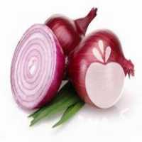 قیمت خرید بذر پیاز طلایی و قرمز در بناب در گروه خرید فروش عمده پیاز - قرمز سفید زرد ترشی تازه انباری در یکمیوه